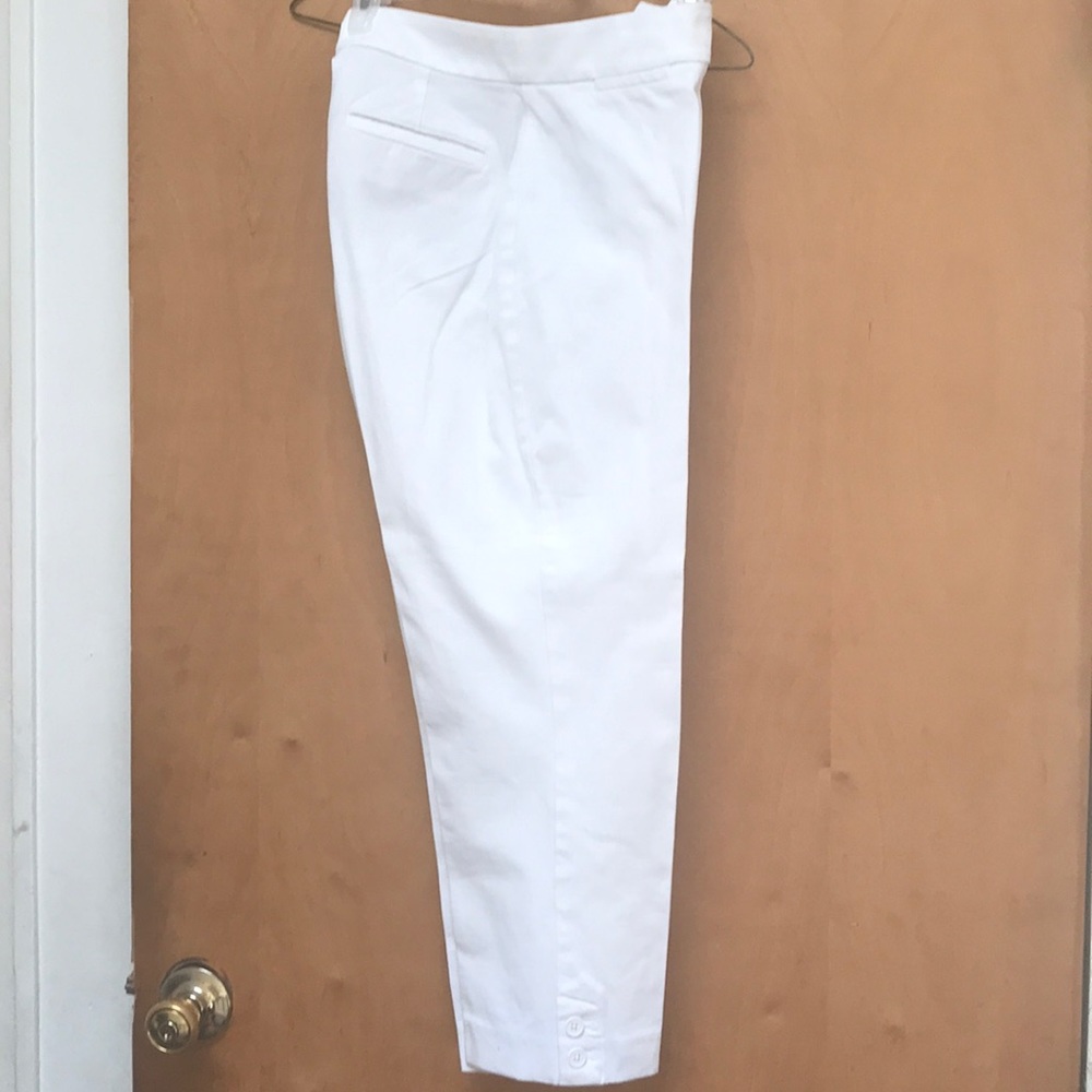 Talbots Curvy